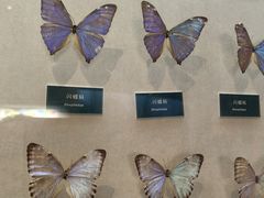 -陕西自然博物馆