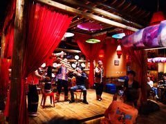 -老滇山寨•云南特色菜•地方菜•民族风情歌舞表演(金碧店)