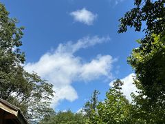 -中国大熊猫保护研究中心雅安碧峰峡基地