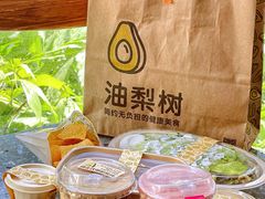 -油梨树AVOCADO TREE(望京店)