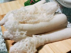 鲜竹荪-慢丽江·云南野生菌土鸡锅(付家庄店)