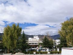 -西藏自治区图书馆