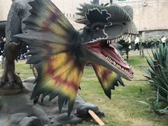 -自贡恐龙博物馆