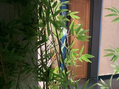 -新紫霞养生·影院足道·SPA(金山区店)