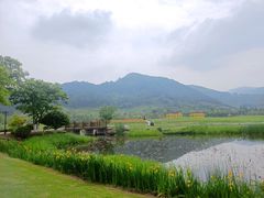 -径山花海