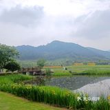 径山花海