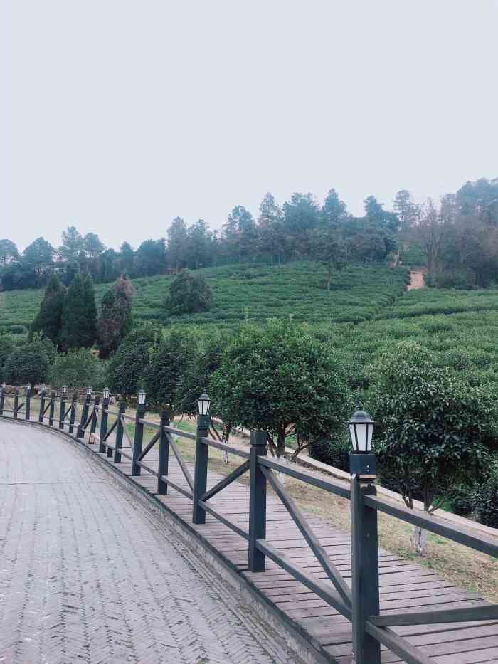 树山生态村-"去年树山梨花节的时候去的人真的是太多啦.