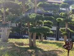 -济南国际园博园