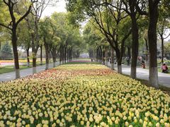 -上海鲜花港