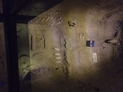 iphone_upload_pic-汉景帝阳陵博物院