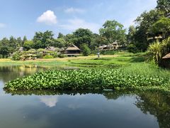 -四季酒店下午茶