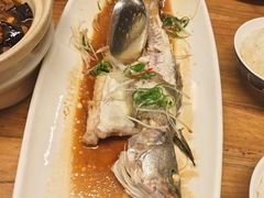 海杂鱼-舟小鲜·舟山小渔村(凤城四路中登广场店)