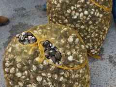 -北海金海湾红树林生态旅游区