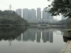 -重庆彩云湖湿地公园