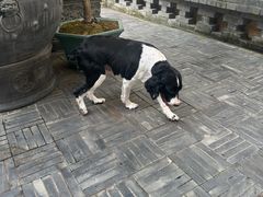 -沣峪森林公园龙潭戏水景区