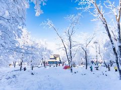-中旅松花湖滑雪场