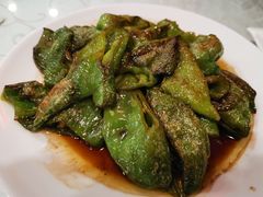 -圣厨牛腩(青春岛社区玉寿苑店)