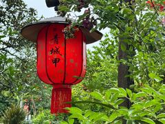 -青城甲(青城山店)