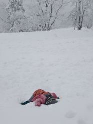 -大秃顶子山