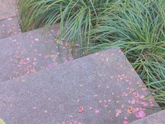 -重庆市江北嘴中央商务区中央公园