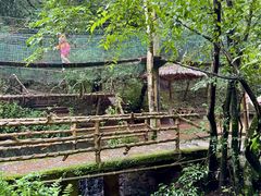 -昆明青龙峡风景区