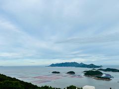 -花竹村