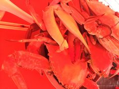 树军活海鲜-张树军海鲜(王府壹号店)