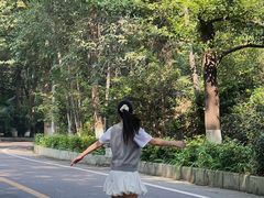 -铁山坪森林公园