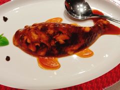 -圆苑(静安寺店)