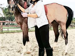 -松声马术俱乐部