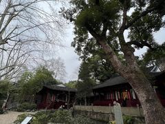 -西泠印社