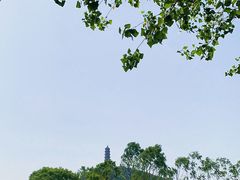 -北坞公园