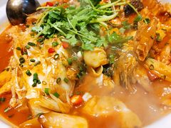 千岛湖有机胖头鱼-魏铭鱼头捞饭(晋阳路店)