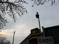 -清真-戏楼王记牛肉面