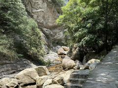 -少华山国家森林公园