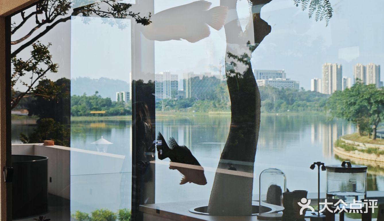 一秒梦回洱海|湖畔别墅区里咖啡店