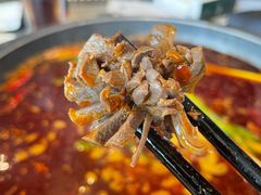 -园里火锅(仁和新城店)