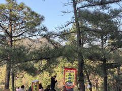 -灵岩山风景区