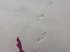 -黄金海岸