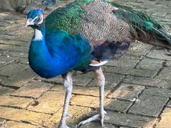 -南京金牛湖风景区