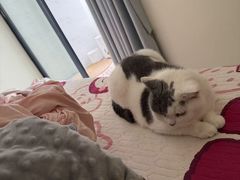 -松岗(地铁站)