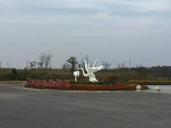 -盐城丹顶鹤湿地生态旅游区