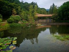 -云溪植物园