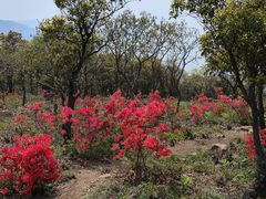 -东山风景区(洞庭东山)