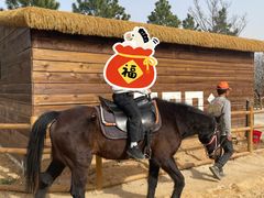 -茅山东方盐湖城景区