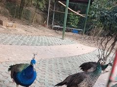 -杭州开元森泊度假乐园