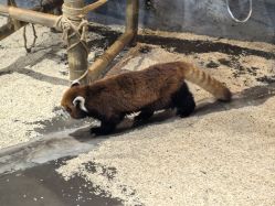 -Zoolung Zoolung动物主题公园(海信广场店)