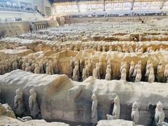 -秦始皇帝陵博物院(兵马俑)