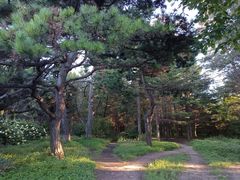 -长春市南湖公园