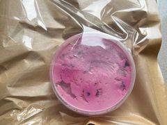 -Catch Bagel(芳草地店)